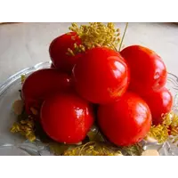 Купить помидоры квашеные оптом